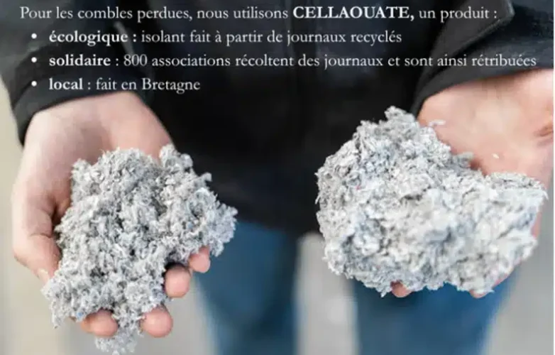 cellaouate-_1_